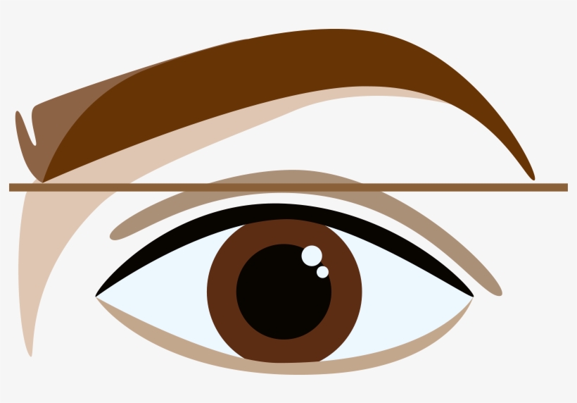Perfectly Shaped Eyebrows - Brown Eyebrow Cartoon, transparent png #1601186