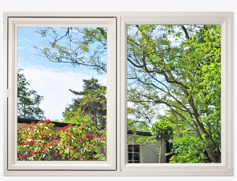 Garden, transparent png #1601234