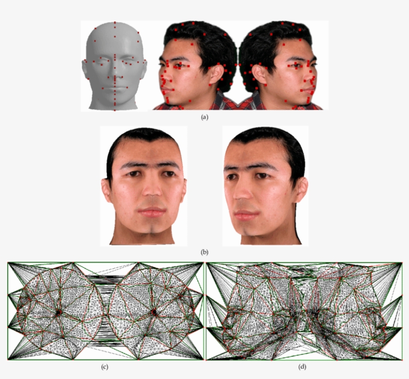 A Hairless Head Model With The Texture Image - Male, transparent png #1601263
