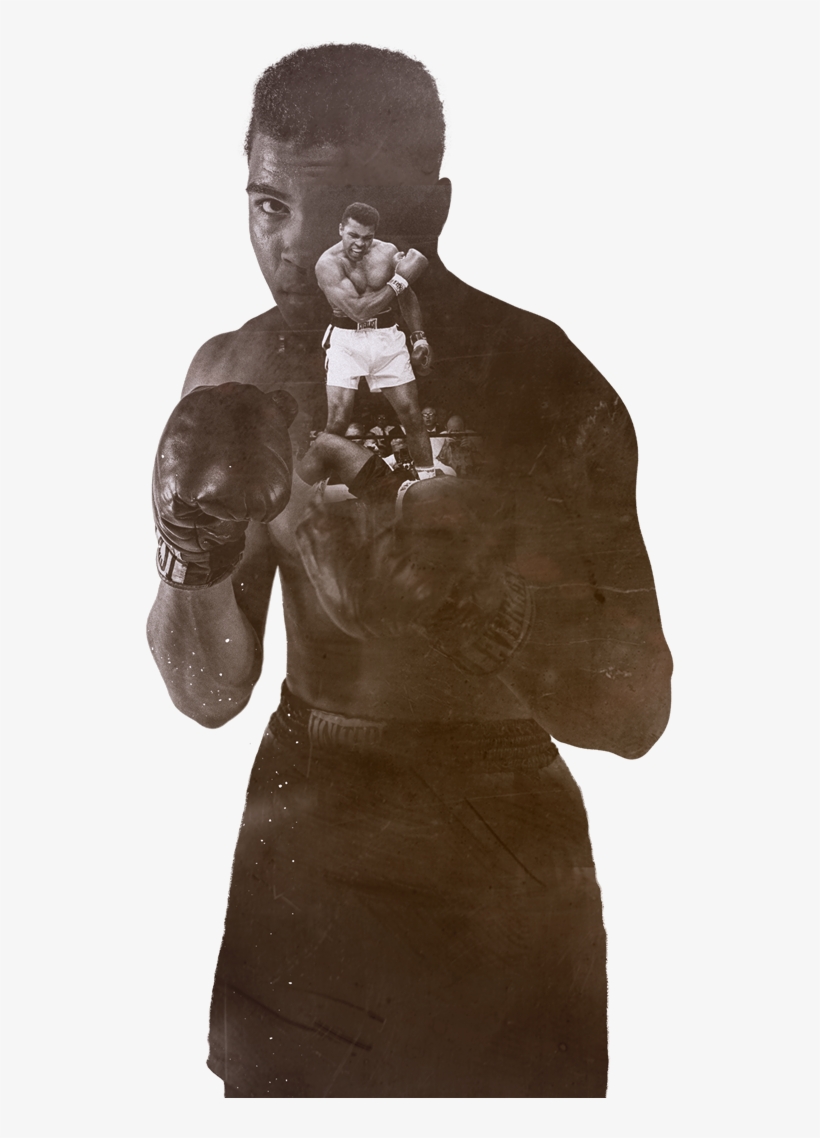 Ebook The Telegraph Book Of Champions, transparent png #1601421