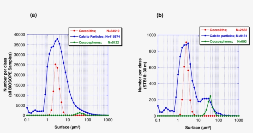 Distribution Of Area Of Coccoliths , Coccospheres (green) - Diagram, transparent png #1601842