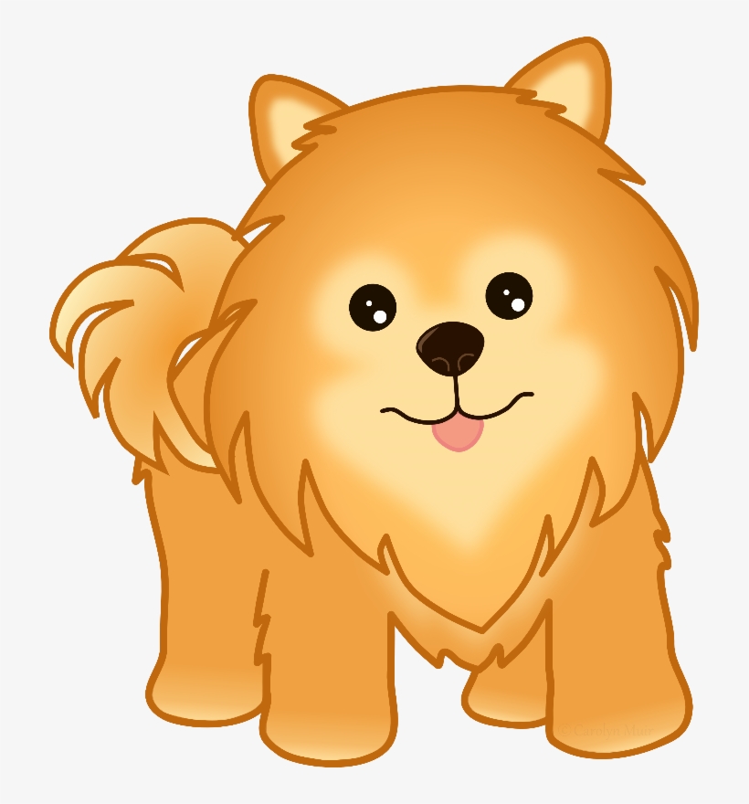 Pomeranian Puppy Dog - Dog Pomeranian Clipart Png, transparent png #1602792