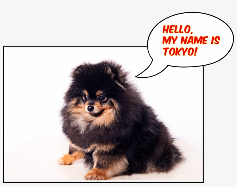 Tokio Penny - Keep Your Head Up God Gives His Hardest Battles To, transparent png #1602924
