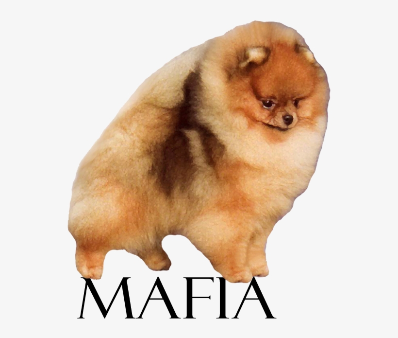 Bronze Gch Lynnwrights Mob Boss - Isbn, transparent png #1602968