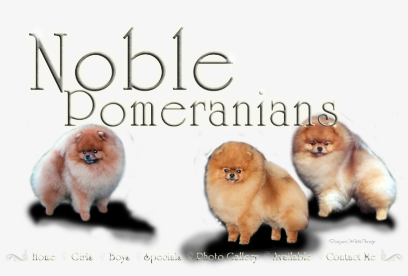 Home, transparent png #1602991