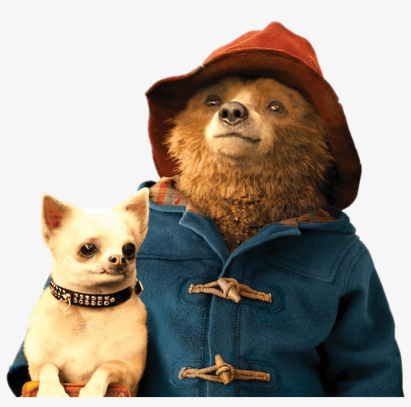 Paddington Bear Holding Small Dog - Paddington Png, transparent png #1603281