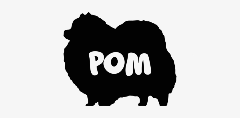 Pomeranian Tshirt, transparent png #1603336