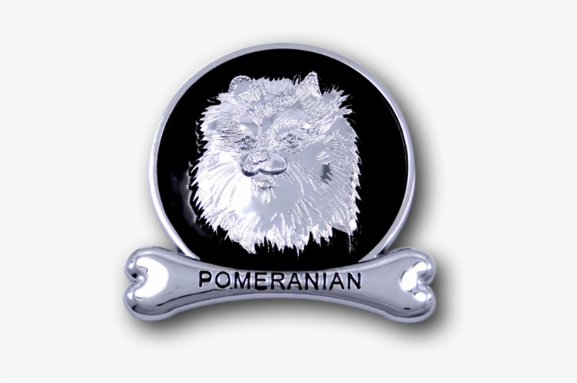 Pomeranian, transparent png #1603341