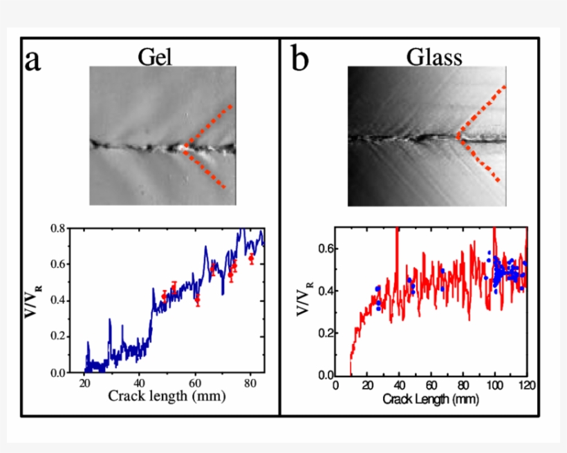 Photographs Of Fracture Surfaces In Both (a) Gels (type - High Temperature Lubrication, transparent png #1604271