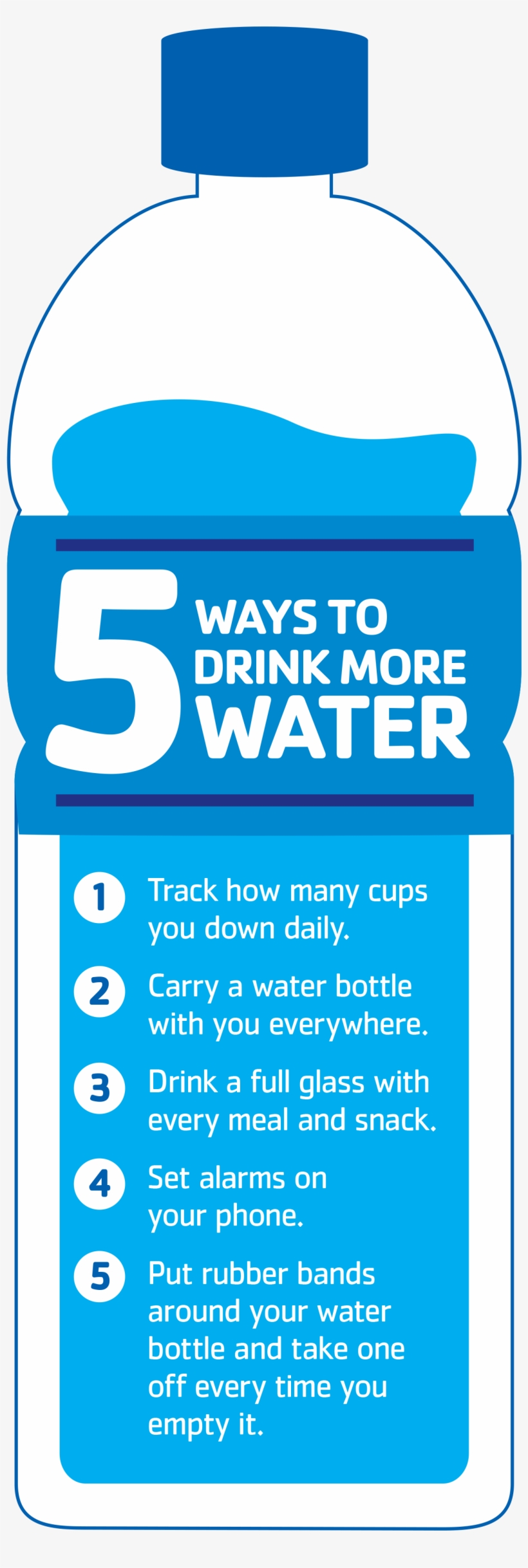 Drink More Water Infographic, transparent png #1604708