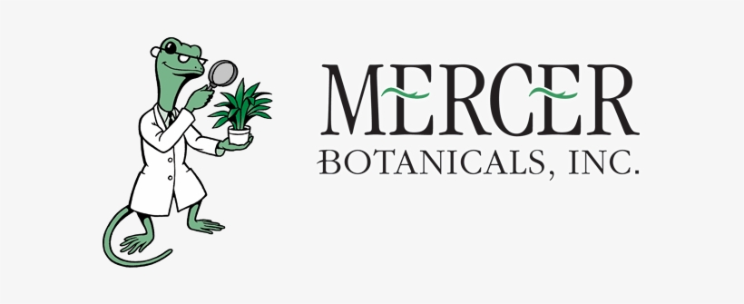 Mercer Botanicals - Feinschmecker Bookazinenr.18 Dieter Müllers Kochschule, transparent png #1604977