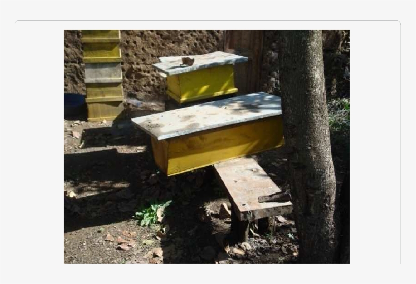 Types And Placement Of Beehive - Beehive, transparent png #1606024