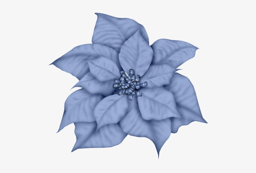 Christmas Blue Poinsettia Clip Art - Blue Poinsettia Clipart, transparent png #1606222