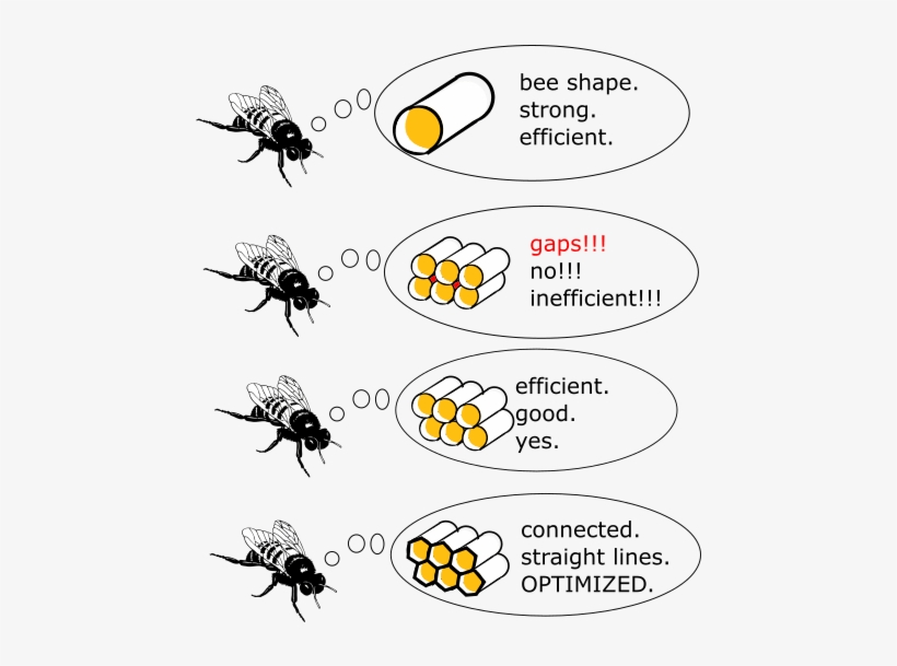 Why Beehives Are Hexagons - Bee Shape Strong Efficient, transparent png #1606296