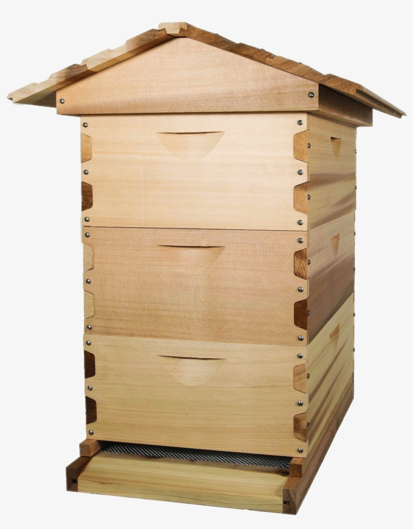 Cedar Wood Beehive - Beehive, transparent png #1606453