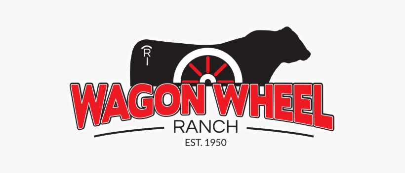 Calving Ease - Carcass - Consistency - - Wagon Wheel Ranch, transparent png #1607278