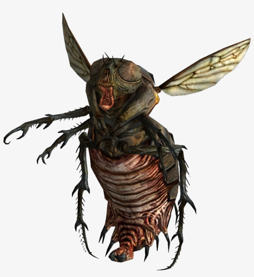 Bloatflies Link - Fallout Bloatfly, transparent png #1607366