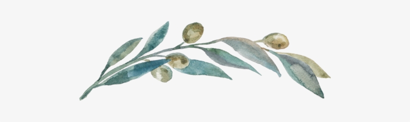 Olivebranch - Blog, transparent png #1608163
