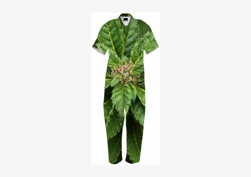Weed Jumpsuit $180 - Day Dress, transparent png #1609058
