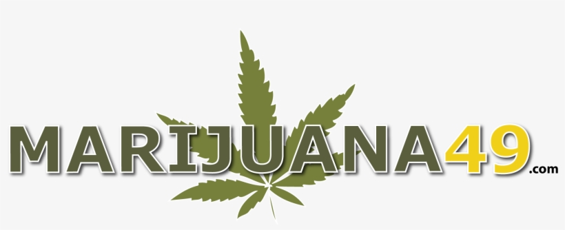 Can Alaskans Carry A Bag Of Weed And A Gun At The Same - Login, transparent png #1609211