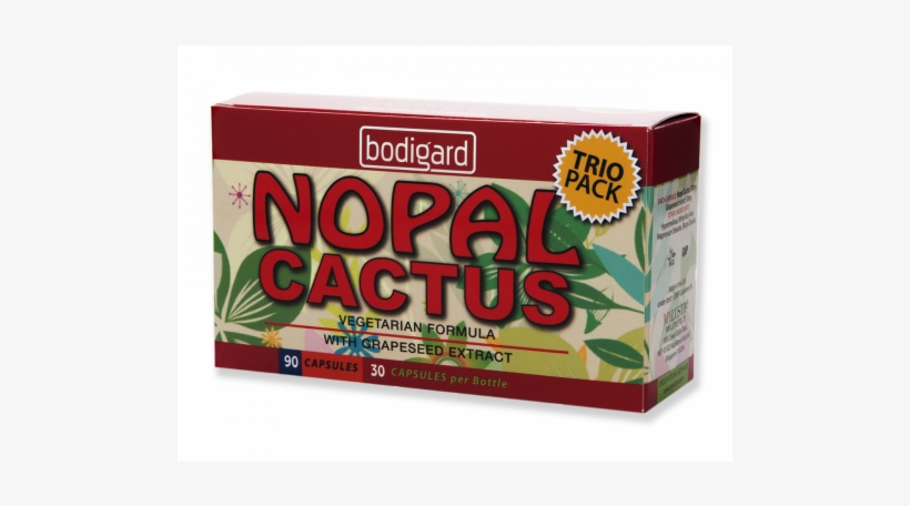 Fruit, transparent png #1610368