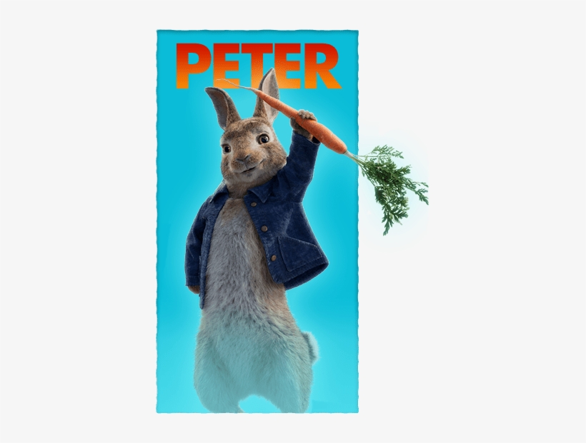 Last Week I Met Tiffani And Her Family At The Movies - Peter Rabbit Movie Peter, transparent png #1610999
