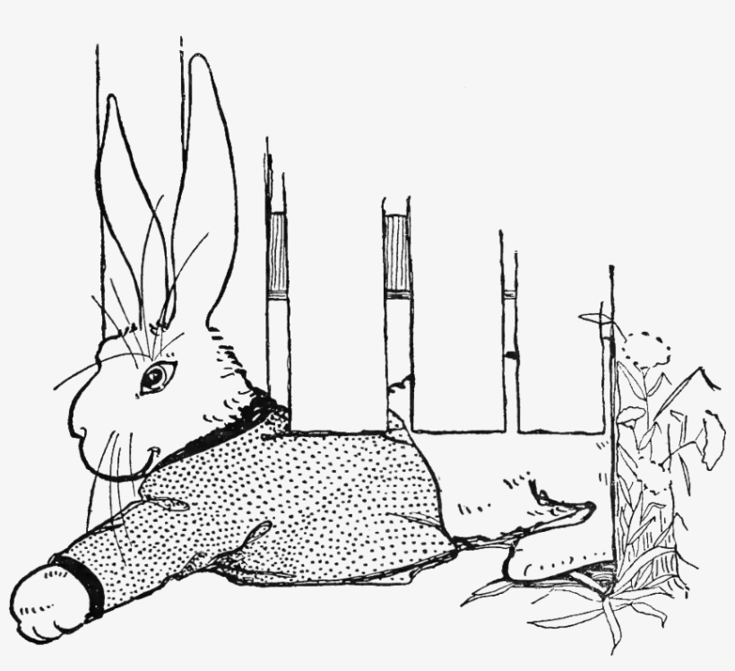 Peter Rabbit Albert 19 - Kaninchen, Das Unter Tor Zusammendrückt Karte, transparent png #1611634
