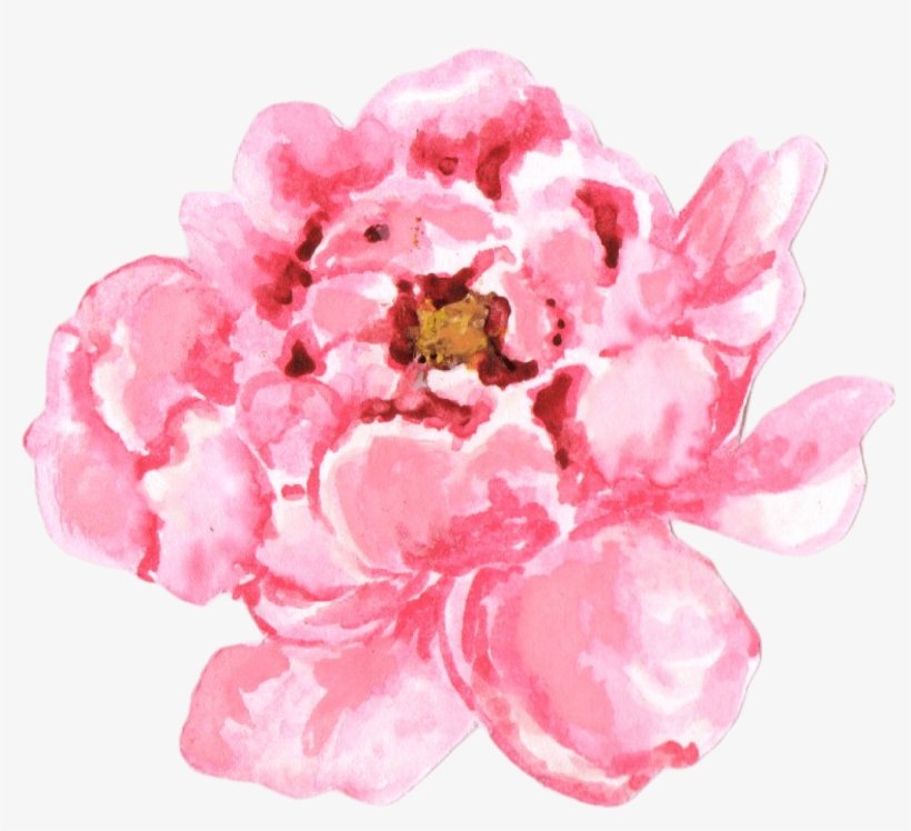 Peonies-03 - Peonies Png, transparent png #1611718
