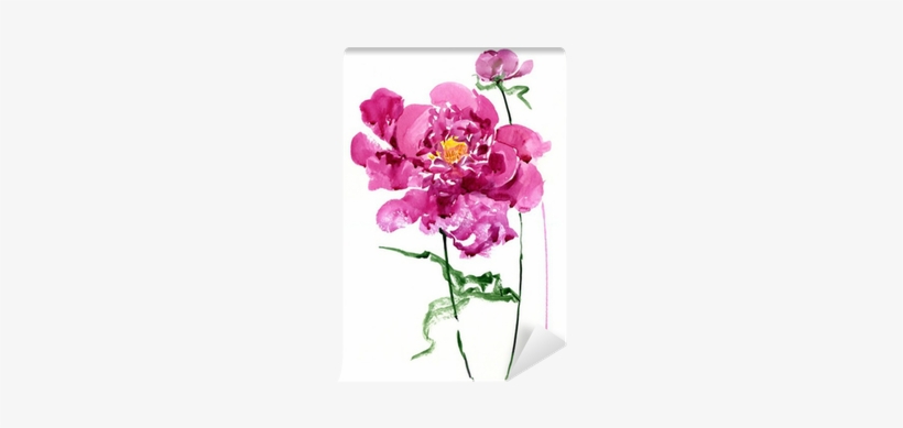 Peony, transparent png #1611763