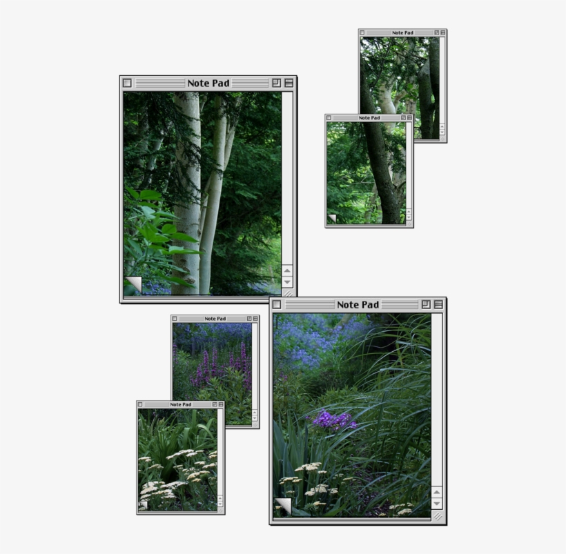 Image, Video And Soundtrack Of A Plant O Production - Transparent Tumblr Aesthetic Plant Png, transparent png #1612188