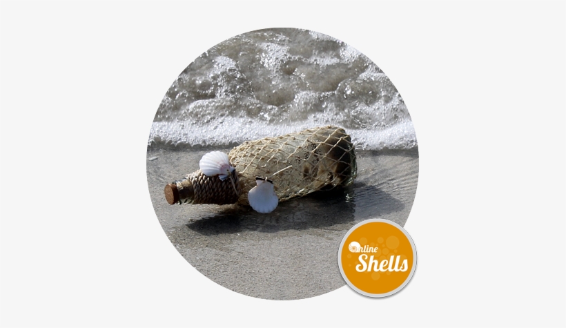 Desert Island Message Bottle - Online Shells, transparent png #1612336