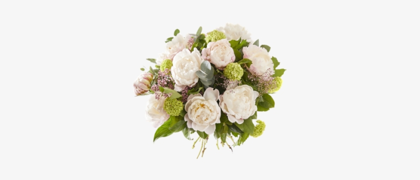 Peony - Interflora, transparent png #1612657