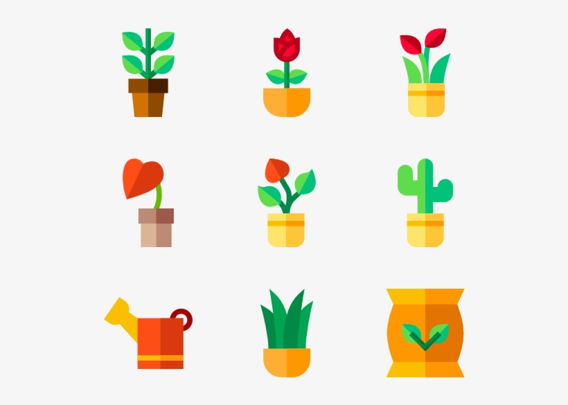 House Plants - Houseplant, transparent png #1612843