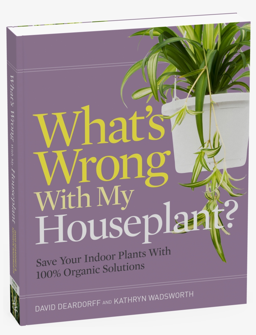 What's Wrong With My Houseplant - What's Wrong With My Houseplant? Save Your Indoor Plants, transparent png #1612988