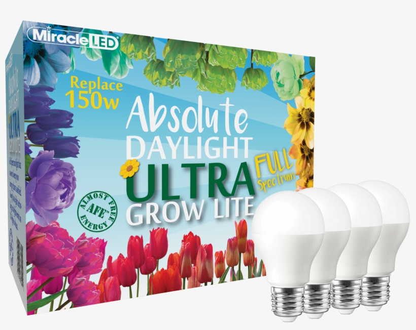 Miracle Led Commercial Hydroponic Ultra Grow Lite - Philips Led A Shape Lamp 8w Es 600lm A+, transparent png #1613140