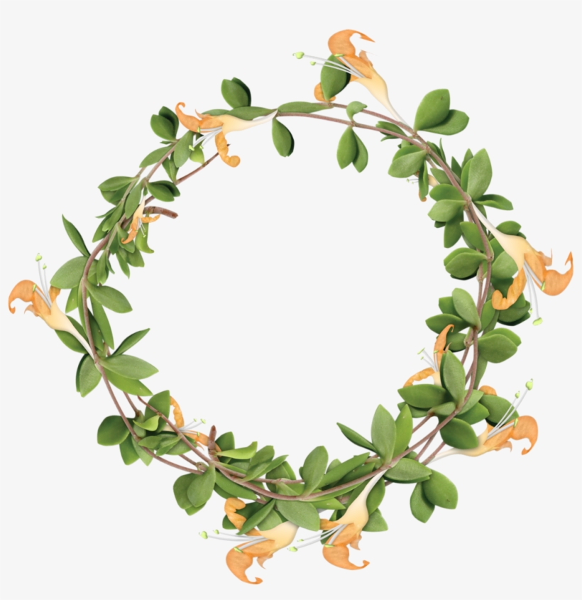 Фото, Автор Cutepictures На Яндекс - Photobucket Inc., transparent png #1613296