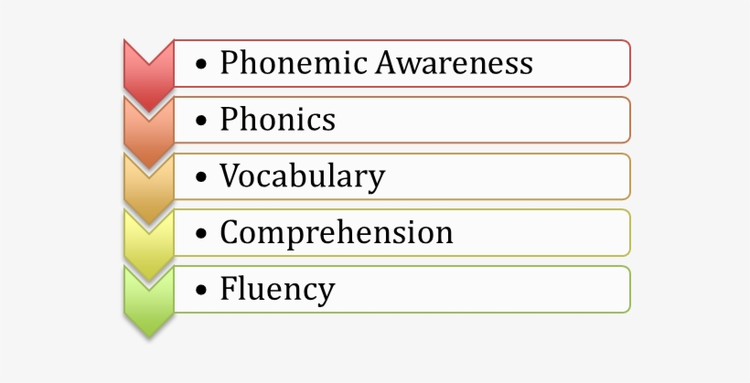 As A Quick Refresher, Here Are The 5 Pillars - Airgun Dictionary: A Study Guide, transparent png #1613412