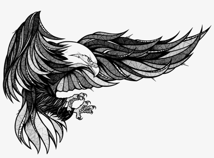 Clipart Transparent Stock Landyachtz Longboard Graphics - Andreas Preis Eagle, transparent png #1613797