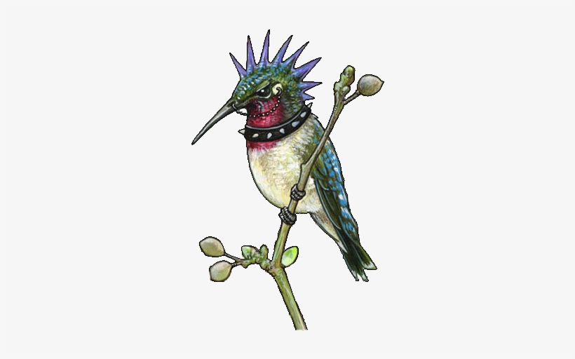 Colored Hummingbird Tattoos Design - Hummingbird Tattoo Flash Art, transparent png #1613981