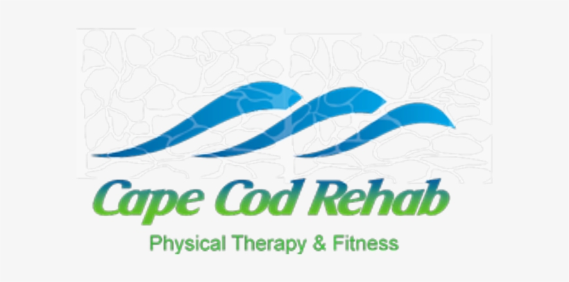 Seahawks Partner Up With Cape Cod Rehab - Physical Therapy, transparent png #1614720
