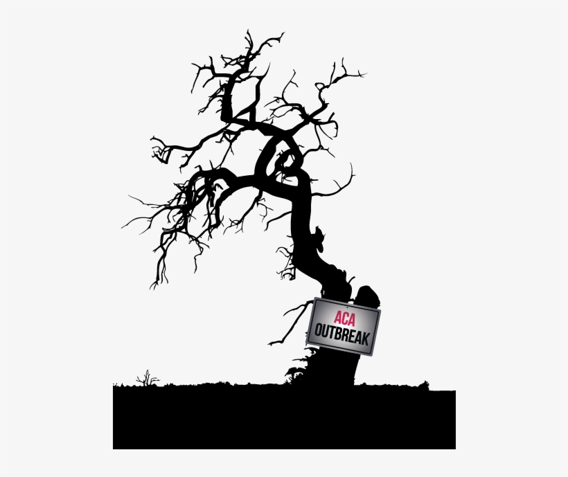 Creepy Misconceptions - Dead Tree At Graveyard, transparent png #1615382