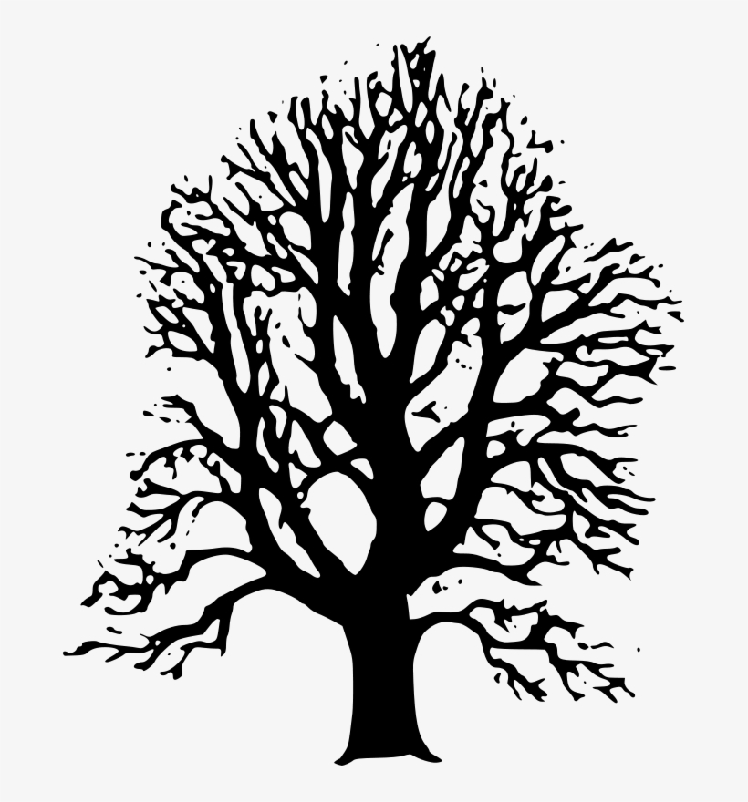 Black Trees Cliparts - Linden Tree Black And White, transparent png #1615784