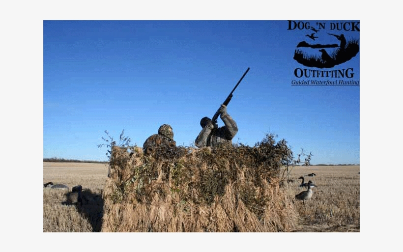 Dog N Duck Outfitting, transparent png #1615845