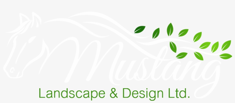 Mustang Logo Clean White - Malang, transparent png #1617588