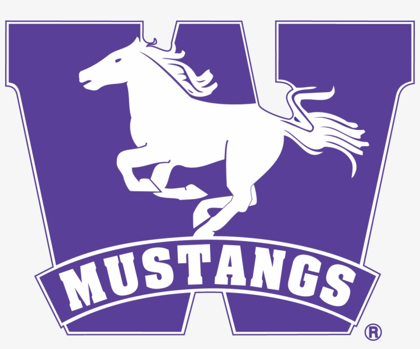 9 Mb - Western Mustangs Logo, transparent png #1617614