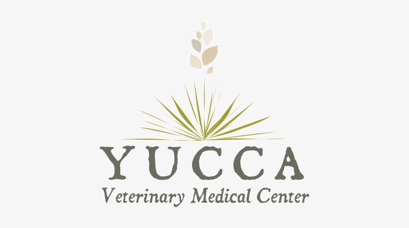 "creating A Personalized Experience For You And Your - Yucca Veterinary Medical Center, Llc, transparent png #1618098