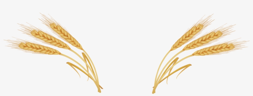 Wheat Ear Royalty - Wheat Png, transparent png #1618476