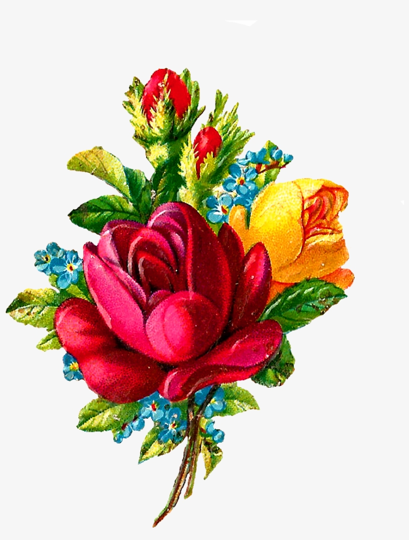 Digital Red Rose Clip Art Flower Download Botanical - Antique, transparent png #1618540