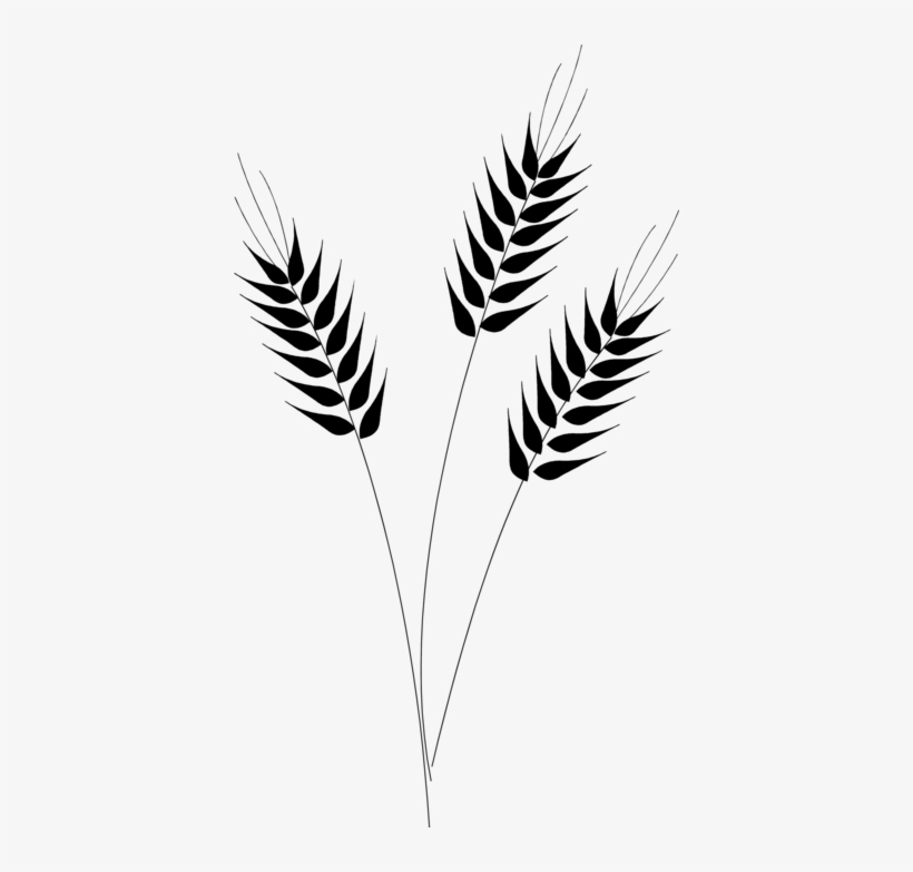 Else - Wheat Clip Art Png, transparent png #1618821