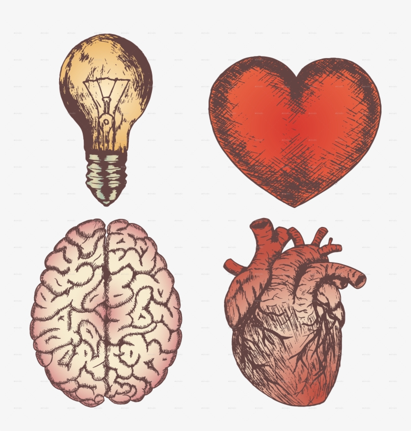 Heart Brain Bulb Sketch Set - Vector Graphics, transparent png #1618874